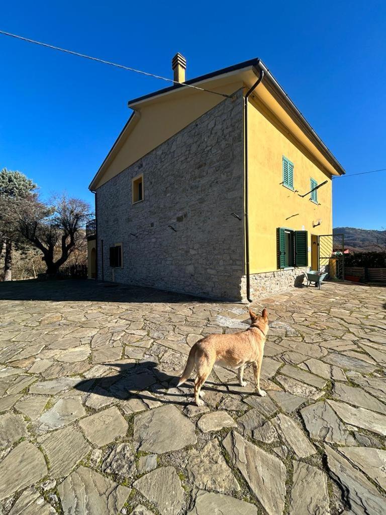 Il Gelso ξενώνας Trivigno Εξωτερικό φωτογραφία