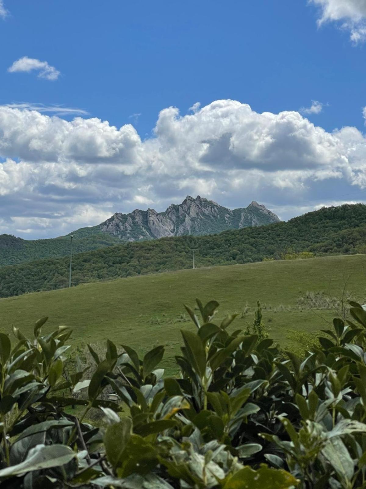 Il Gelso ξενώνας Trivigno Εξωτερικό φωτογραφία