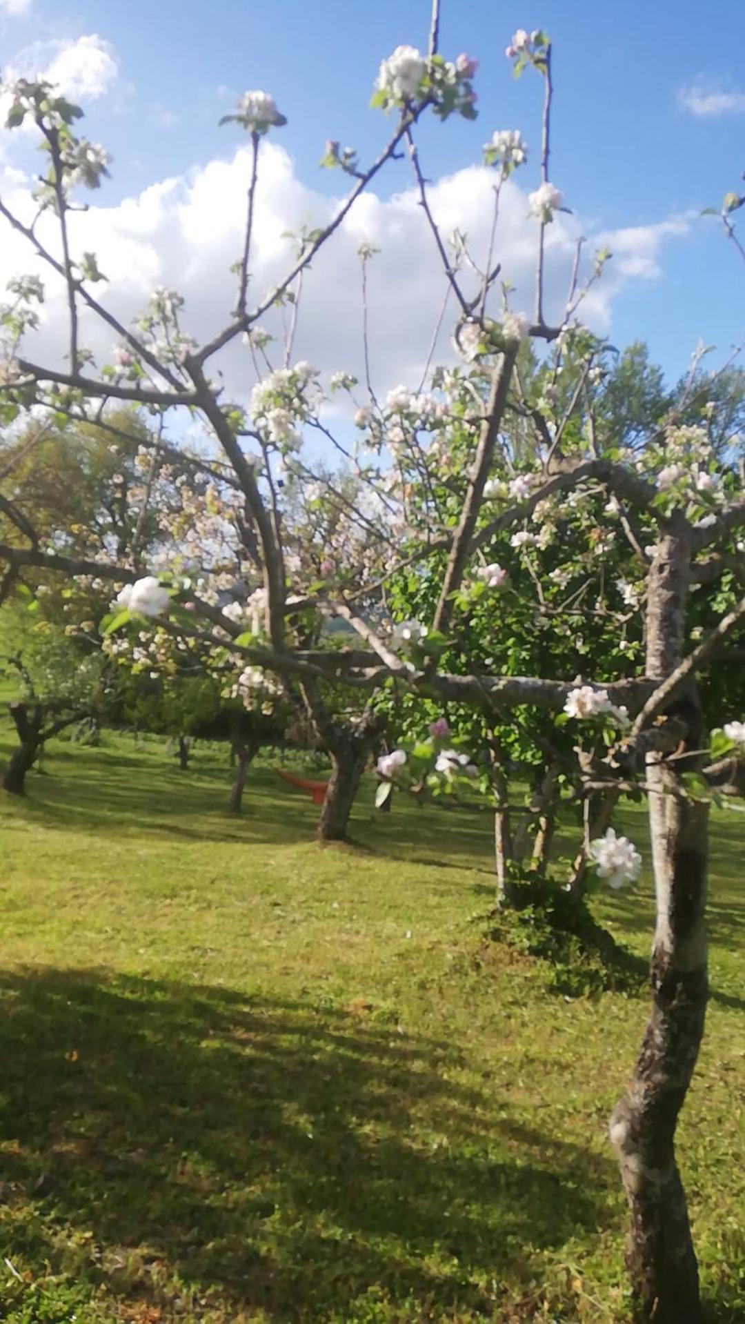 Il Gelso ξενώνας Trivigno Εξωτερικό φωτογραφία